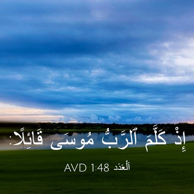 Picture 03 - اَلْعَدَد 1:48 AVD - إِذْ كَلَّمَ ٱلرَّبُّ - Bible Verse Picture