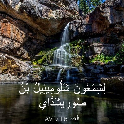 Picture 03 - اَلْعَدَد 1:6 AVD - لِشِمْعُونَ شَلُومِيئِيلُ - Bible Verse Picture