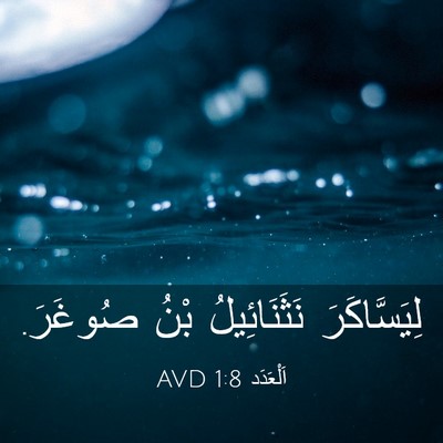 Picture 03 - اَلْعَدَد 1:8 AVD - لِيَسَّاكَرَ نَثَنَائِيلُ - Bible Verse Picture