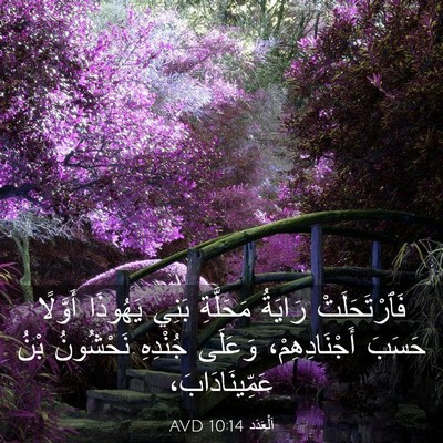 Picture 03 - اَلْعَدَد 10:14 AVD - فَٱرْتَحَلَتْ رَايَةُ - Bible Verse Picture