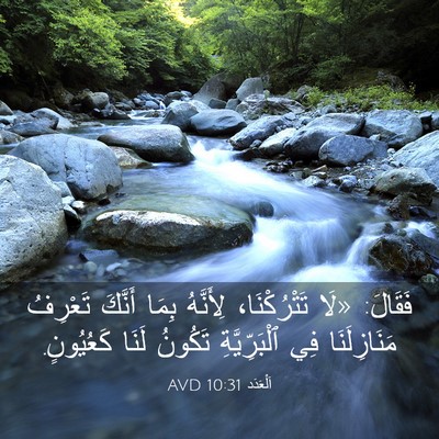 Picture 03 - اَلْعَدَد 10:31 AVD - فَقَالَ: «لَا تَتْرُكْنَا، - Bible Verse Picture