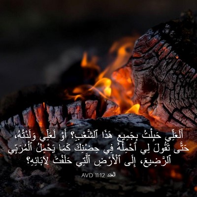 Picture 03 - اَلْعَدَد 11:12 AVD - أَلَعَلِّي حَبِلْتُ - Bible Verse Picture