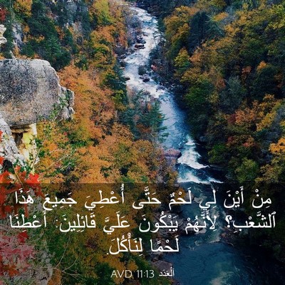 Picture 03 - اَلْعَدَد 11:13 AVD - مِنْ أَيْنَ لِي لَحْمٌ - Bible Verse Picture