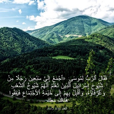 Picture 03 - اَلْعَدَد 11:16 AVD - فَقَالَ ٱلرَّبُّ لِمُوسَى: - Bible Verse Picture