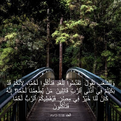 Picture 03 - اَلْعَدَد 11:18 AVD - وَلِلشَّعْبِ تَقُولُ: - Bible Verse Picture