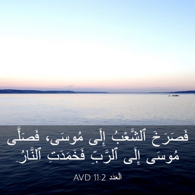 Picture 03 - اَلْعَدَد 11:2 AVD - فَصَرَخَ ٱلشَّعْبُ إِلَى - Bible Verse Picture