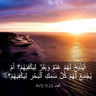 Picture 03 - اَلْعَدَد 11:22 AVD - أَيُذْبَحُ لَهُمْ غَنَمٌ - Bible Verse Picture