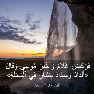 Picture 03 - اَلْعَدَد 11:27 AVD - فَرَكَضَ غُلَامٌ - Bible Verse Picture