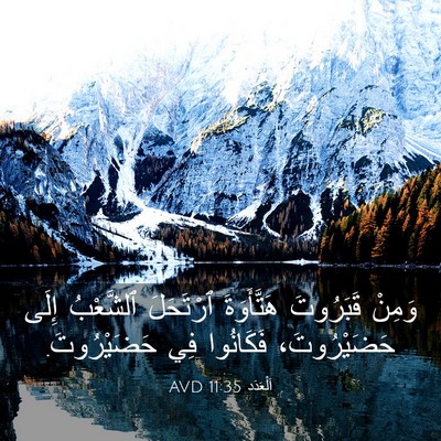 Picture 03 - اَلْعَدَد 11:35 AVD - وَمِنْ قَبَرُوتَ - Bible Verse Picture