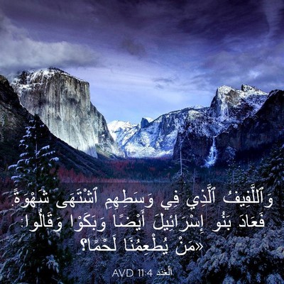 Picture 03 - اَلْعَدَد 11:4 AVD - وَٱللَّفِيفُ ٱلَّذِي فِي - Bible Verse Picture