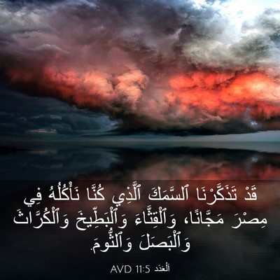 Picture 03 - اَلْعَدَد 11:5 AVD - قَدْ تَذَكَّرْنَا - Bible Verse Picture