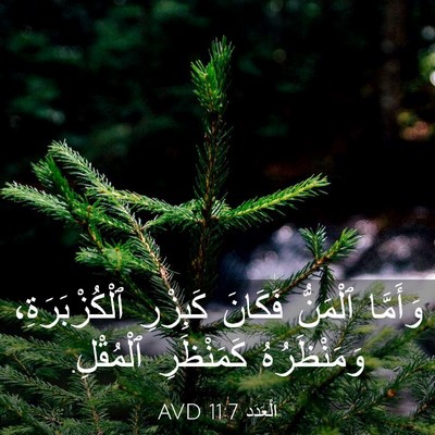 Picture 03 - اَلْعَدَد 11:7 AVD - وَأَمَّا ٱلْمَنُّ فَكَانَ - Bible Verse Picture