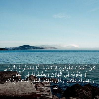 Picture 03 - اَلْعَدَد 11:8 AVD - كَانَ ٱلشَّعْبُ - Bible Verse Picture