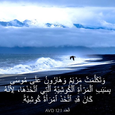 Picture 03 - اَلْعَدَد 12:1 AVD - وَتَكَلَّمَتْ مَرْيَمُ - Bible Verse Picture