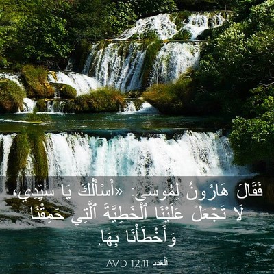 Picture 03 - اَلْعَدَد 12:11 AVD - فَقَالَ هَارُونُ لِمُوسَى: - Bible Verse Picture