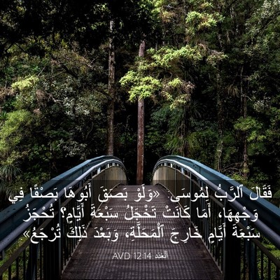 Picture 03 - اَلْعَدَد 12:14 AVD - فَقَالَ ٱلرَّبُّ لِمُوسَى: - Bible Verse Picture