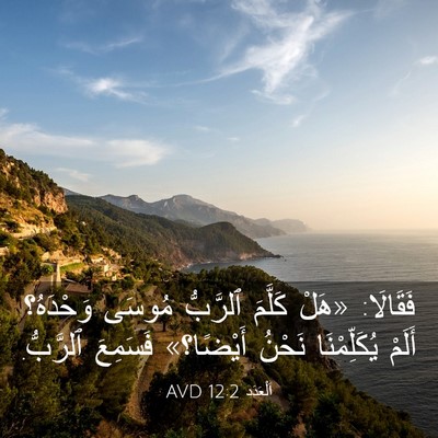 Picture 03 - اَلْعَدَد 12:2 AVD - فَقَالَا: «هَلْ كَلَّمَ - Bible Verse Picture