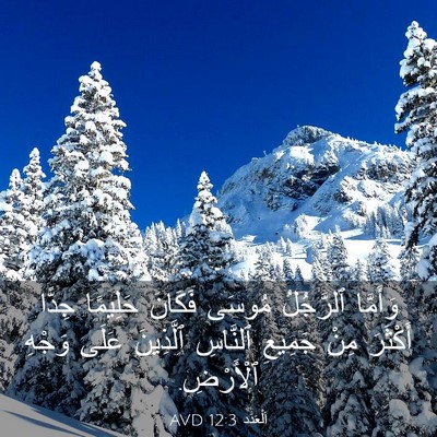 Picture 03 - اَلْعَدَد 12:3 AVD - وَأَمَّا ٱلرَّجُلُ مُوسَى - Bible Verse Picture