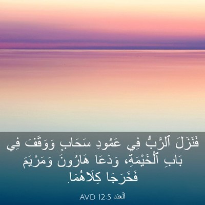 Picture 03 - اَلْعَدَد 12:5 AVD - فَنَزَلَ ٱلرَّبُّ فِي - Bible Verse Picture