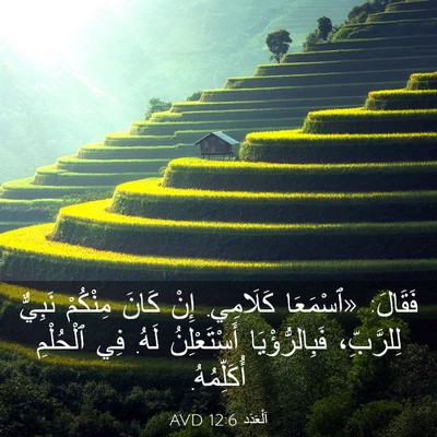 Picture 03 - اَلْعَدَد 12:6 AVD - فَقَالَ: «ٱسْمَعَا - Bible Verse Picture