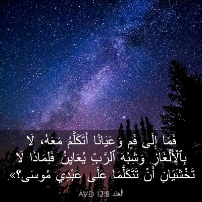 Picture 03 - اَلْعَدَد 12:8 AVD - فَمًا إِلَى فَمٍ - Bible Verse Picture