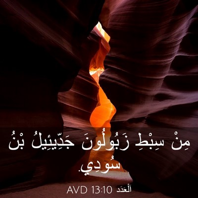 Picture 03 - اَلْعَدَد 13:10 AVD - مِنْ سِبْطِ زَبُولُونَ - Bible Verse Picture