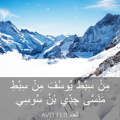 Picture 03 - اَلْعَدَد 13:11 AVD - مِنْ سِبْطِ يُوسُفَ مِنْ - Bible Verse Picture