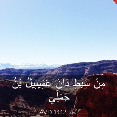 Picture 03 - اَلْعَدَد 13:12 AVD - مِنْ سِبْطِ دَانَ - Bible Verse Picture