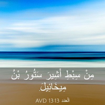 Picture 03 - اَلْعَدَد 13:13 AVD - مِنْ سِبْطِ أَشِيرَ - Bible Verse Picture