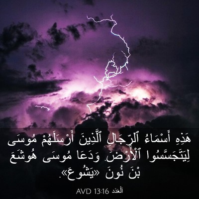 Picture 03 - اَلْعَدَد 13:16 AVD - هَذِهِ أَسْمَاءُ - Bible Verse Picture