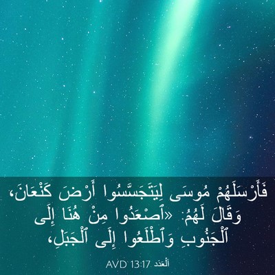 Picture 03 - اَلْعَدَد 13:17 AVD - فَأَرْسَلَهُمْ مُوسَى - Bible Verse Picture