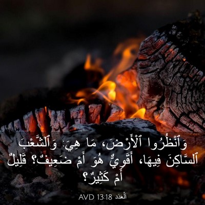 Picture 03 - اَلْعَدَد 13:18 AVD - وَٱنْظُرُوا ٱلْأَرْضَ، - Bible Verse Picture