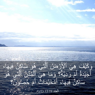 Picture 03 - اَلْعَدَد 13:19 AVD - وَكَيْفَ هِيَ ٱلْأَرْضُ - Bible Verse Picture