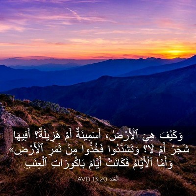 Picture 03 - اَلْعَدَد 13:20 AVD - وَكَيْفَ هِيَ ٱلْأَرْضُ، - Bible Verse Picture