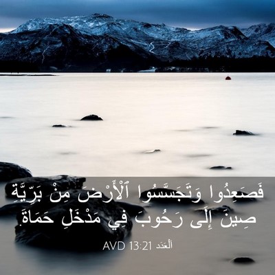 Picture 03 - اَلْعَدَد 13:21 AVD - فَصَعِدُوا وَتَجَسَّسُوا - Bible Verse Picture