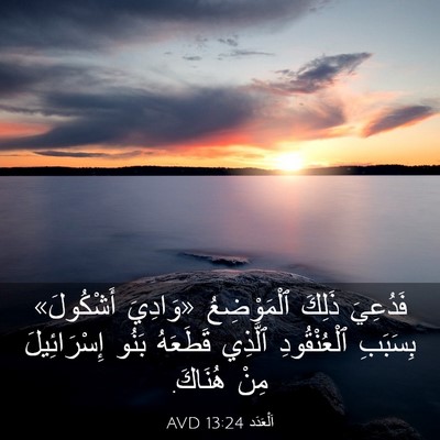 Picture 03 - اَلْعَدَد 13:24 AVD - فَدُعِيَ ذَلِكَ - Bible Verse Picture