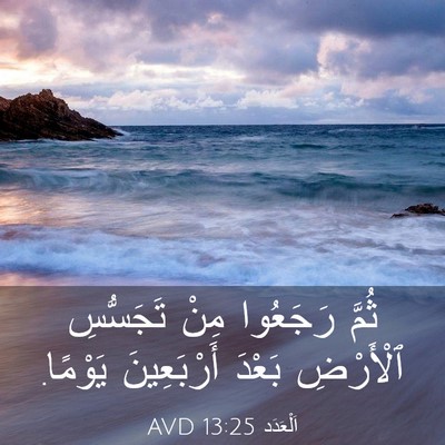 Picture 03 - اَلْعَدَد 13:25 AVD - ثُمَّ رَجَعُوا مِنْ - Bible Verse Picture