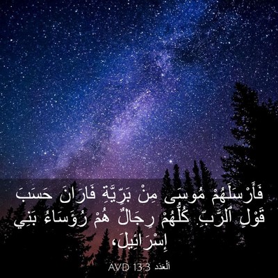 Picture 03 - اَلْعَدَد 13:3 AVD - فَأَرْسَلَهُمْ مُوسَى - Bible Verse Picture