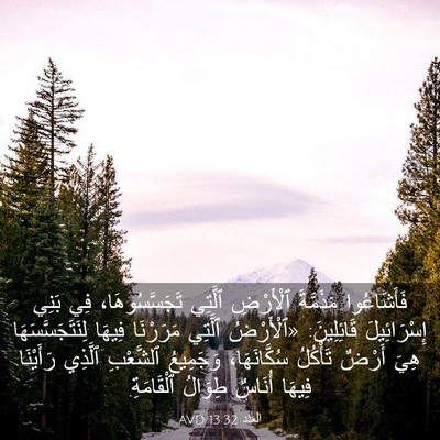 Picture 03 - اَلْعَدَد 13:32 AVD - فَأَشَاعُوا مَذَمَّةَ - Bible Verse Picture