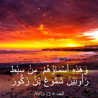 Picture 03 - اَلْعَدَد 13:4 AVD - وَهَذِهِ أَسْمَاؤُهُمْ: - Bible Verse Picture