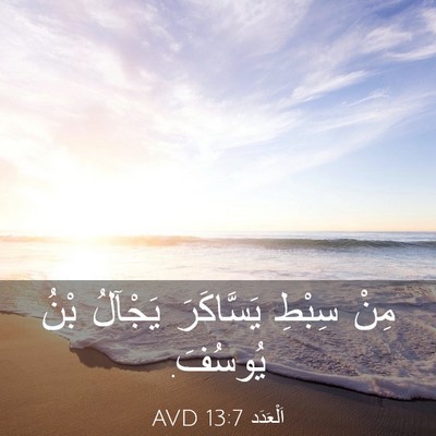 Picture 03 - اَلْعَدَد 13:7 AVD - مِنْ سِبْطِ يَسَّاكَرَ - Bible Verse Picture