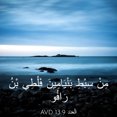 Picture 03 - اَلْعَدَد 13:9 AVD - مِنْ سِبْطِ بَنْيَامِينَ - Bible Verse Picture