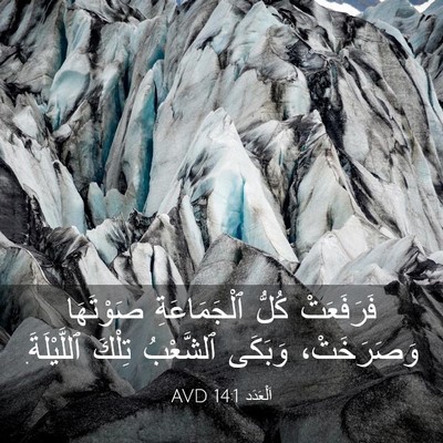 Picture 03 - اَلْعَدَد 14:1 AVD - فَرَفَعَتْ كُلُّ - Bible Verse Picture
