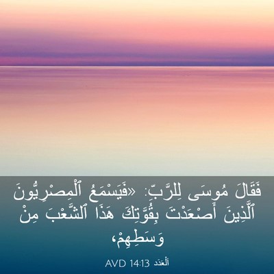 Picture 03 - اَلْعَدَد 14:13 AVD - فَقَالَ مُوسَى لِلرَّبِّ: - Bible Verse Picture
