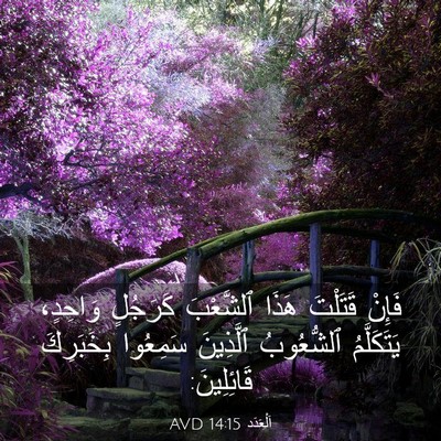 Picture 03 - اَلْعَدَد 14:15 AVD - فَإِنْ قَتَلْتَ هَذَا - Bible Verse Picture