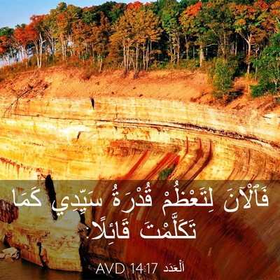 Picture 03 - اَلْعَدَد 14:17 AVD - فَٱلْآنَ لِتَعْظُمْ - Bible Verse Picture