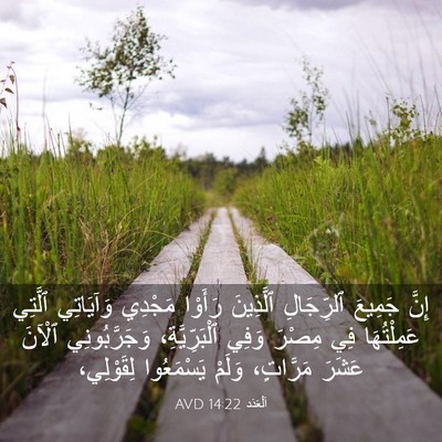 Picture 03 - اَلْعَدَد 14:22 AVD - إِنَّ جَمِيعَ ٱلرِّجَالِ - Bible Verse Picture