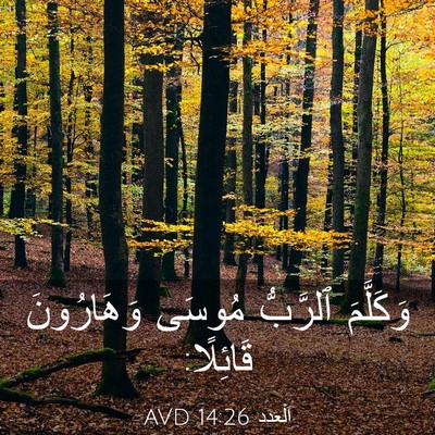 Picture 03 - اَلْعَدَد 14:26 AVD - وَكَلَّمَ ٱلرَّبُّ مُوسَى - Bible Verse Picture