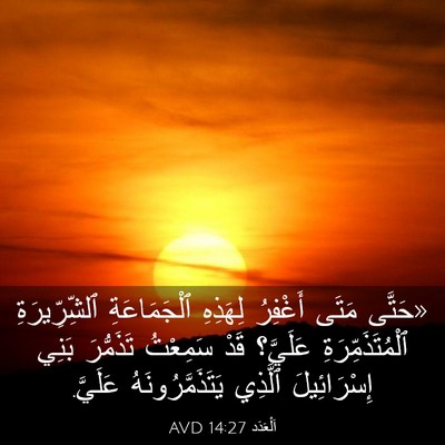 Picture 03 - اَلْعَدَد 14:27 AVD - «حَتَّى مَتَى أَغْفِرُ - Bible Verse Picture