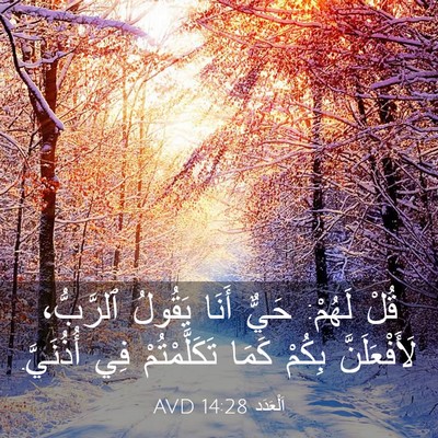 Picture 03 - اَلْعَدَد 14:28 AVD - قُلْ لَهُمْ: حَيٌّ أَنَا - Bible Verse Picture